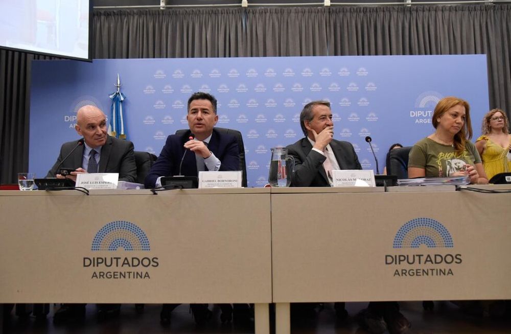 Se llevó a cabo un nuevo plenario de comisiones por la ley ómnibus (Foto: HCDN)