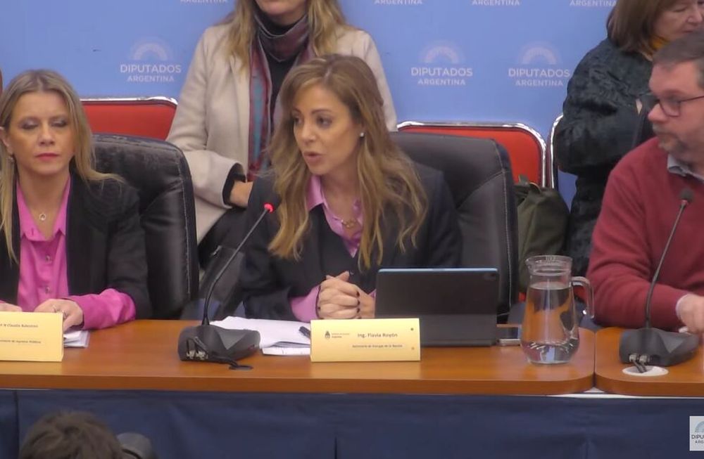 En una reunión conjunta, las Comisiones de Energía y Combustible junto con Presupuesto y Hacienda, trabajarán sobre el “Régimen de Promoción del Gas Natural (GNL) en nuestro país. Fue invitada la Secretaria de Energía de la Nación, Ing. Flavia Royon.