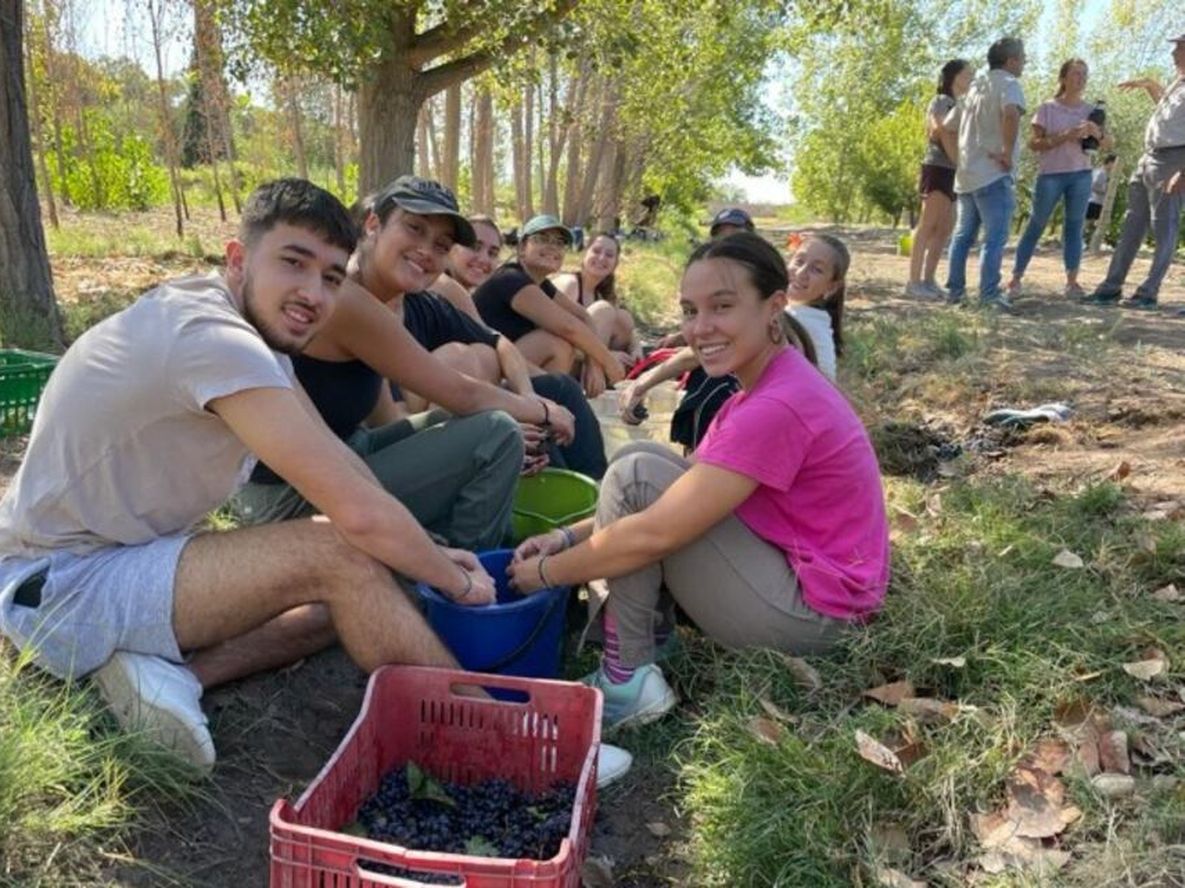 Estudiantes franceses de intercambio en el Liceo Agrícola