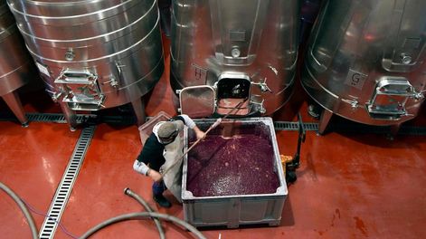 Trabajo de mantenimiento en bodega. Foto: Los Andes