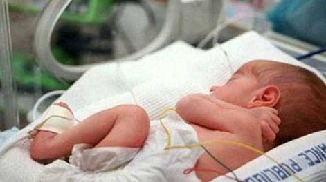 El Banco de Leche Humana (BLH) de Mendoza garantiza el aporte de leche materna a bebés en situación crítica de su salud y cuyas mamás no puedan cubrir su demanda