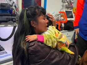 El reencuentro de la nena de 3 años con su mamá