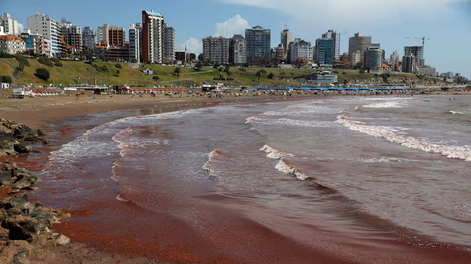 El mar se tiñó de rojo en la costa atlántica argentina.&nbsp;