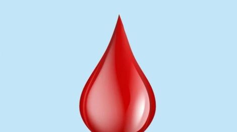 Toda esa sangre - Por Rosa Montero