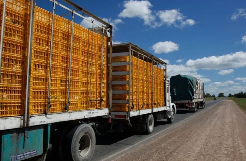 Lanzarán una herramienta para incrementar la seguridad sanitaria del transporte y mejorar la logística