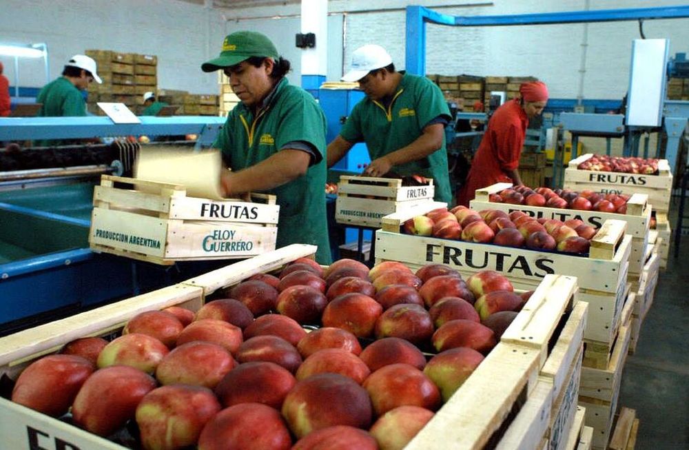 Las industrias receptoras de frutas y hortalizas en áreas libres de la mosca deberán inscribirse hasta 35 días antes de iniciar la campaña.