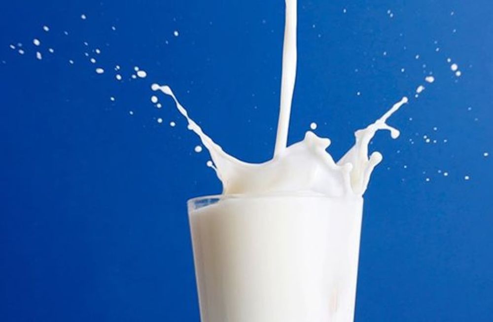 Milk: