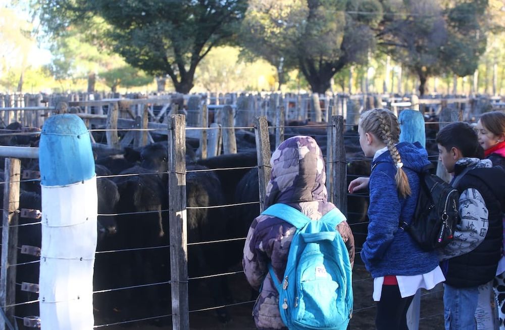 La Fiesta Nacional de la Ganadería de Zonas Áridas también ofrece actividades educativas y recreativas para niños, adolescentes y jóvenes. Foto: Gentileza