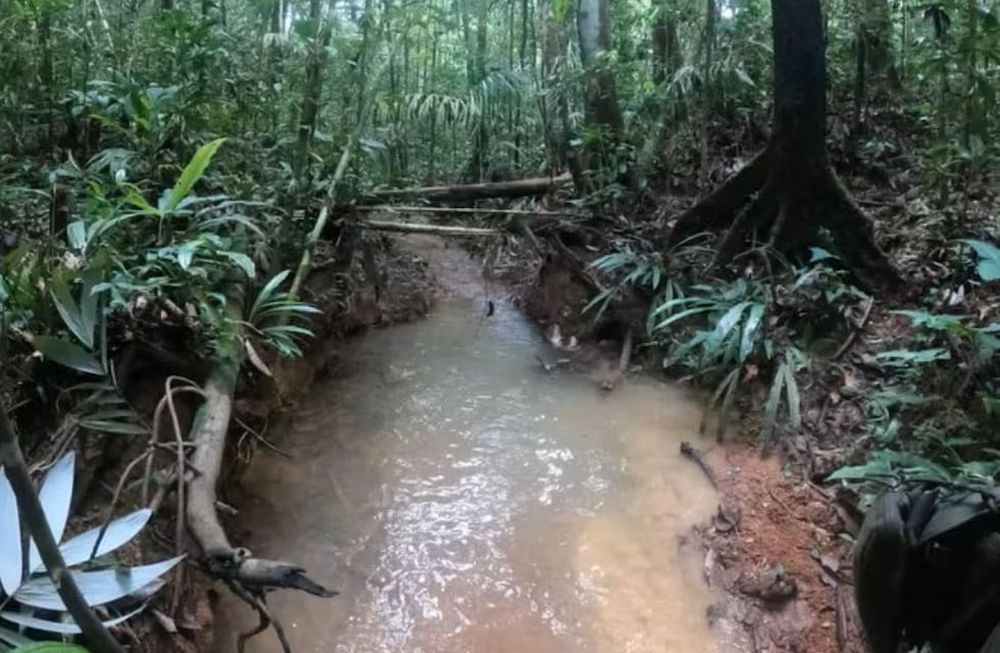 Qué pasó y qué se sabe de los 4 chicos perdidos en la selva de Colombia. Foto: Ejército de Colombia.