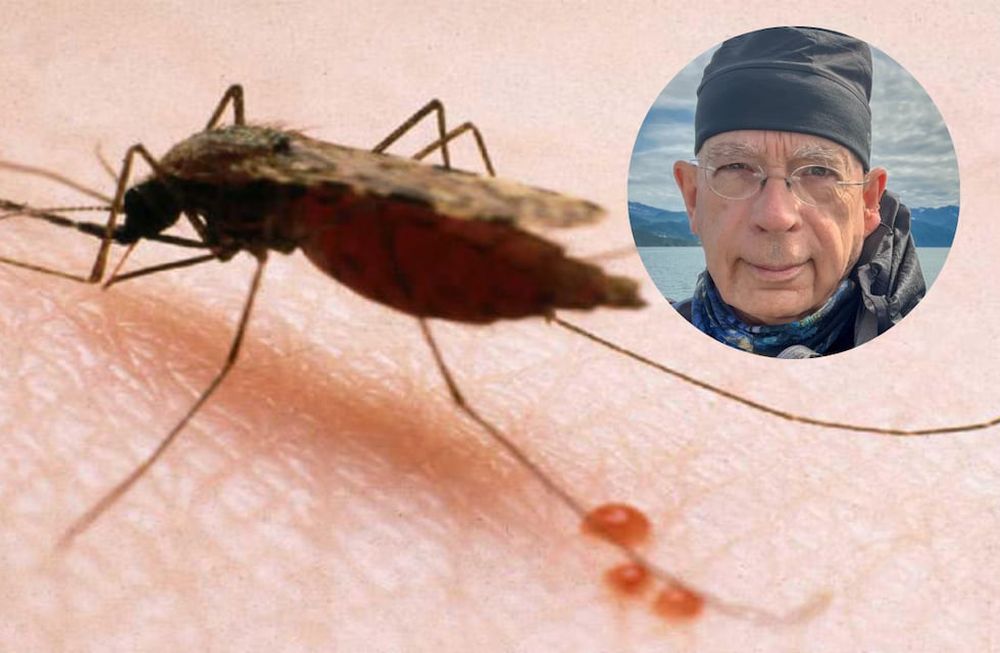 Según se indica en el parte, el paciente llegó a la Guardia del hospital con “fiebre alta, fuerte anemia y un cuadro de hipoglucemia” por lo que debió ser intubado, pero media hora después falleció. Foto: David Kalamazoo en Facebook.