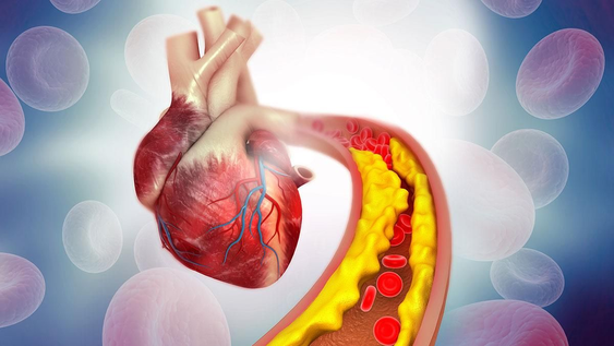 Alimentos, salud, ciencia y semillas: la combinación ideal para cuidar el corazón sin fármacos.