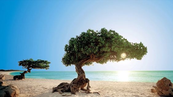 Aruba se corona como la isla con el mejor clima