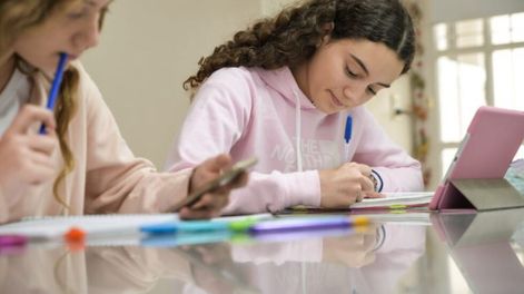 Estudiar en casa y con clases virtuales fue una costumbre que se instaló en cuarentena.