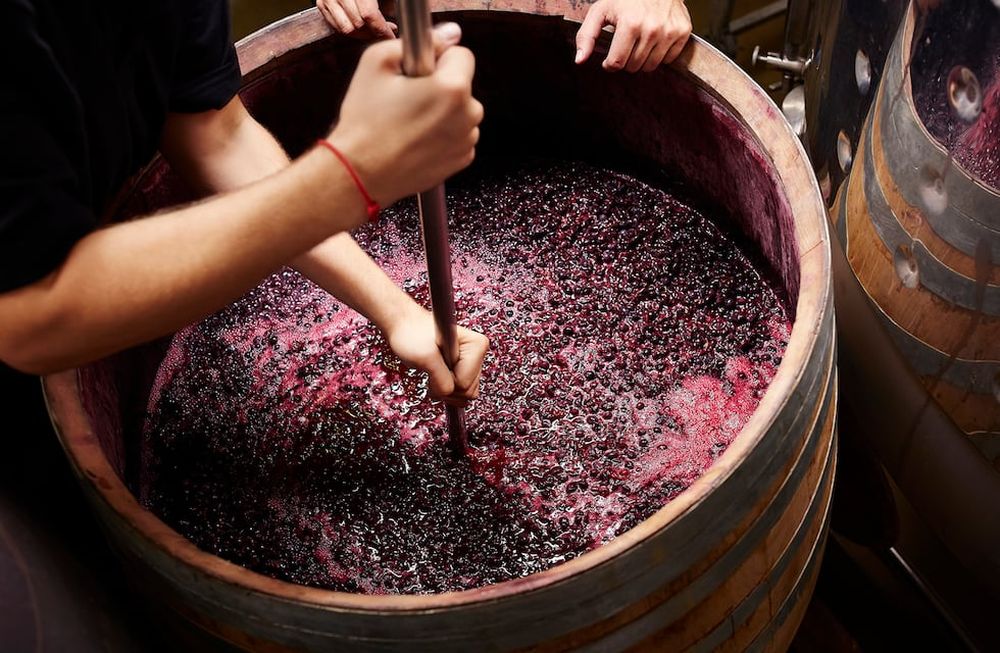 Llegamos al corazón del vino: la fermentación