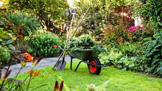 Prepará tu jardín para el invierno