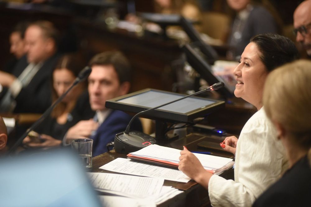La presidenta de la Comisión de Minería sostuvo que el litio puede generar empleo y desarrollo para el sur provincial.