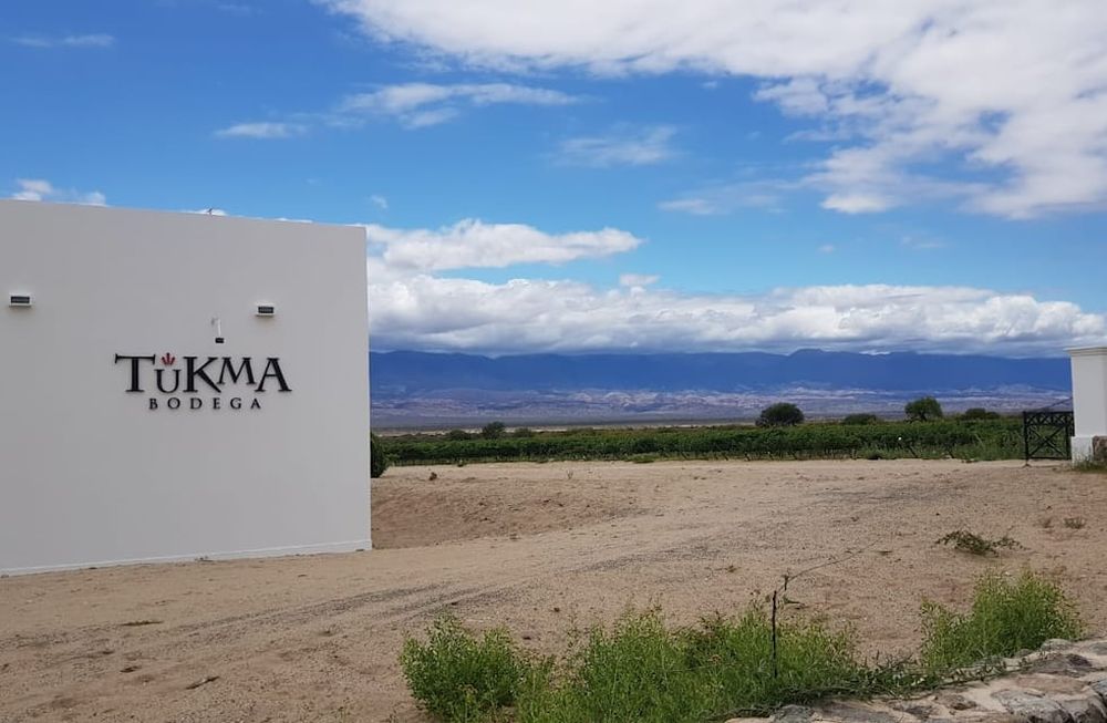 El noroeste a través de la bodega Tukma: cómo son sus vinos y a dónde apunta la región