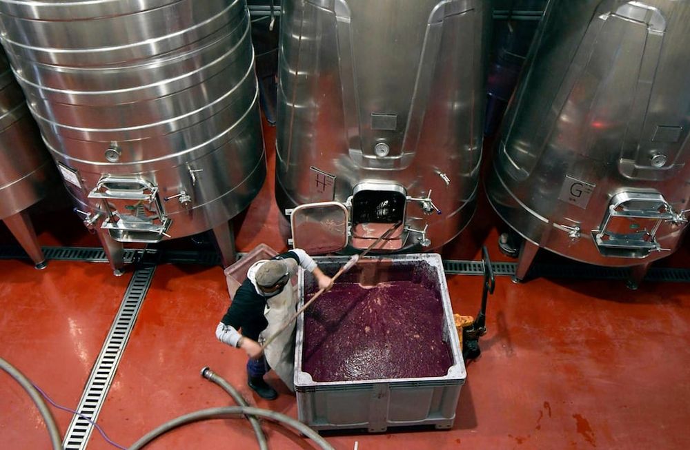 Trabajo de mantenimiento en bodega. Foto: Los Andes