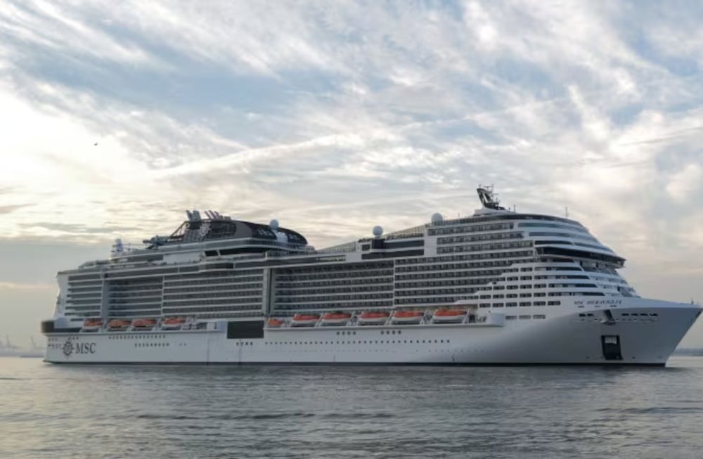 “Notificamos inmediatamente a las autoridades pertinentes, que ahora están llevando a cabo un examen de la ballena”, remarcó Sidney Sterling, director de relaciones mediáticas de MSC Cruises, Foto: Gentileza