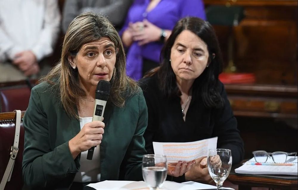 La senadora nacional de la UCR por Mendoza, Mariana Juri