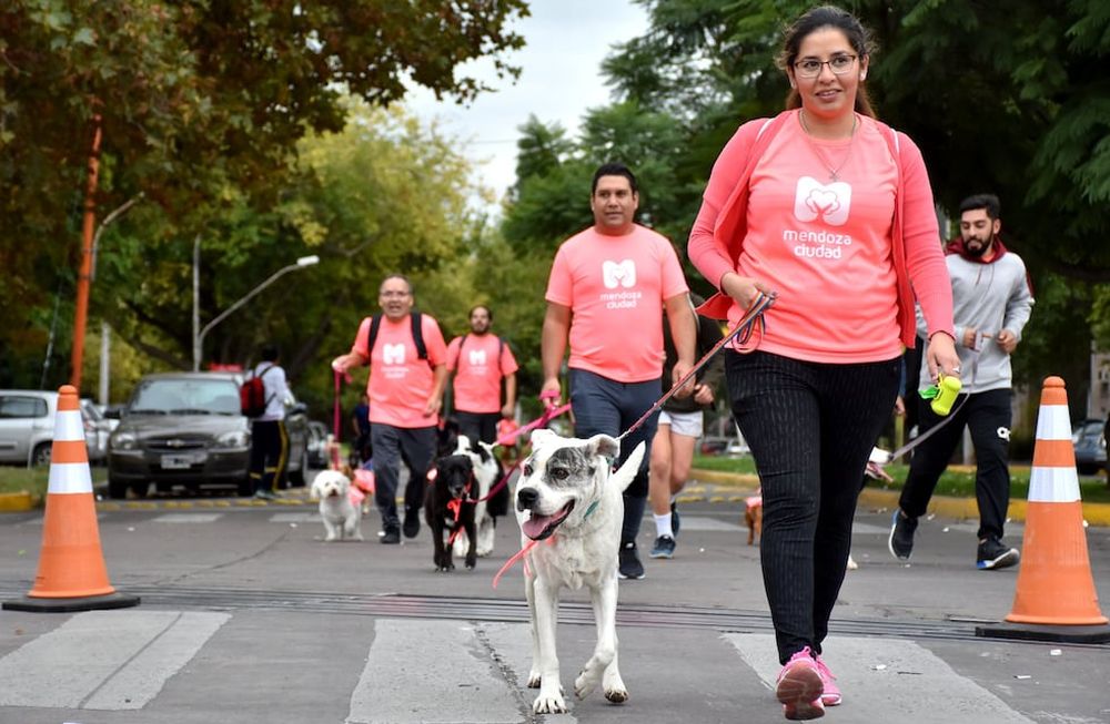 Sumate a la Maratón Animal Ciudad de Mendoza 2022