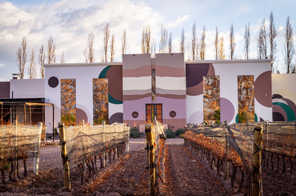 Mauricio Lorca apuesta a un nuevo segmento y lanza vinos de baja graduaci&oacute;n para conquistar a otro consumidor