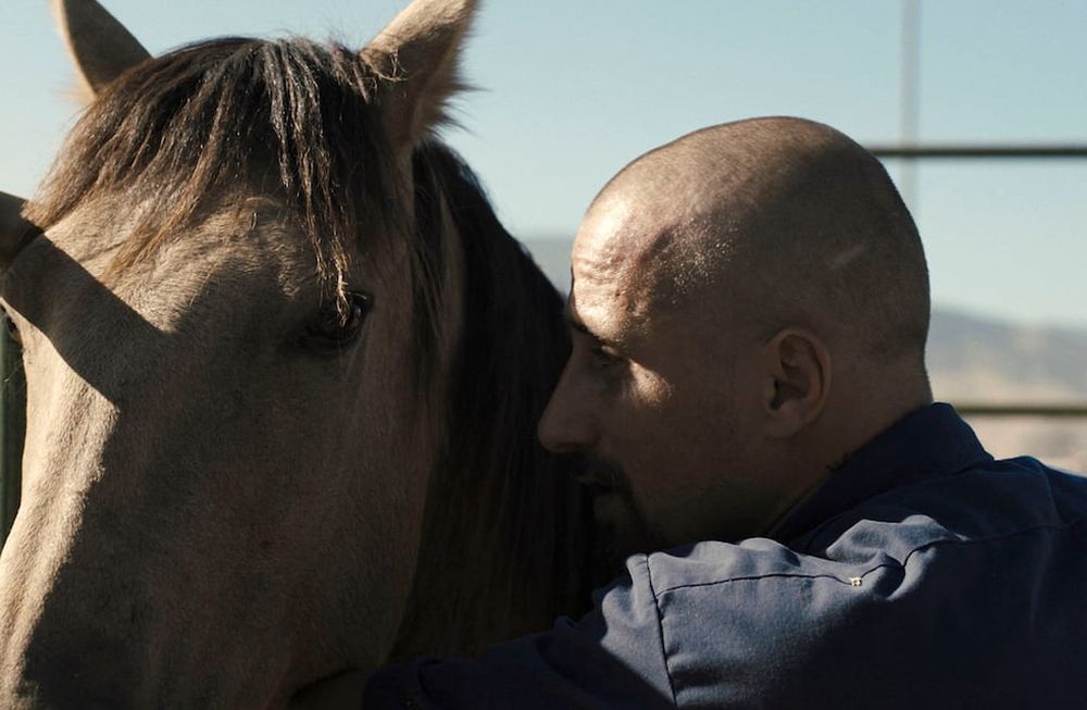Matthias Schoenaerts interpreta a Roman Coleman en este filme extraordinario de Laure de Clermont-Tonnerre (foto: Focus Features)