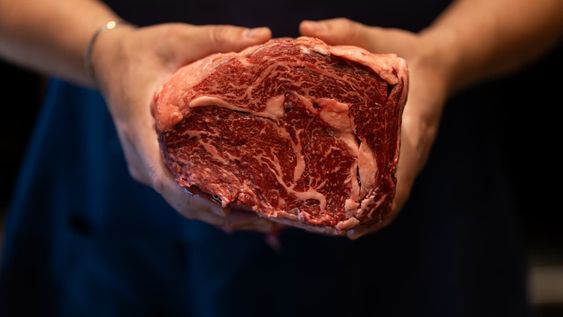 El desembarco de la carne de élite en la Provincia.&nbsp;
