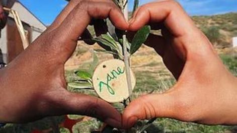 Estamos en ello - Por Rosa Montero