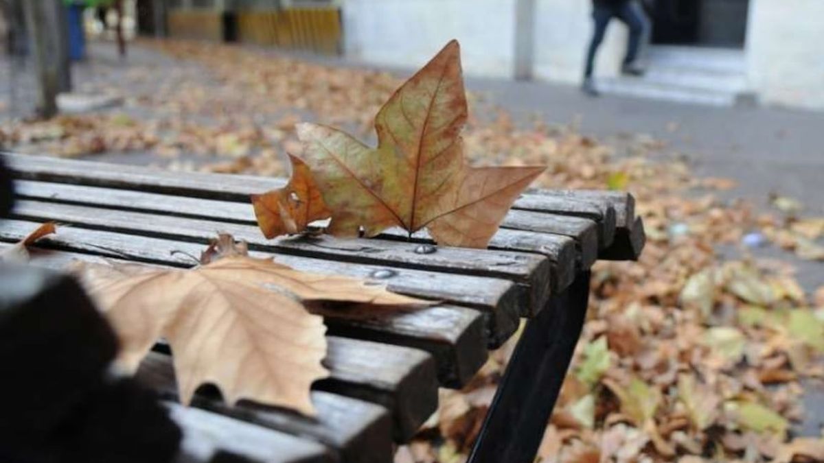 Buen tiempo en Mendoza en plena temporada de otoño: cuál será la máxima para este viernes