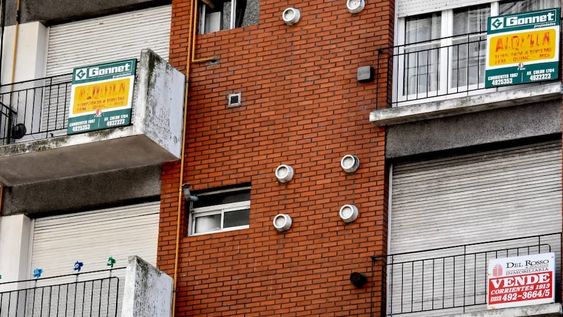 Ley de alquileres: perjudica  a inquilinos y propietarios