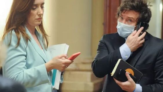 Polémica por los pasajes que utilizó Javier Milei supuestamente para actos partidarios.