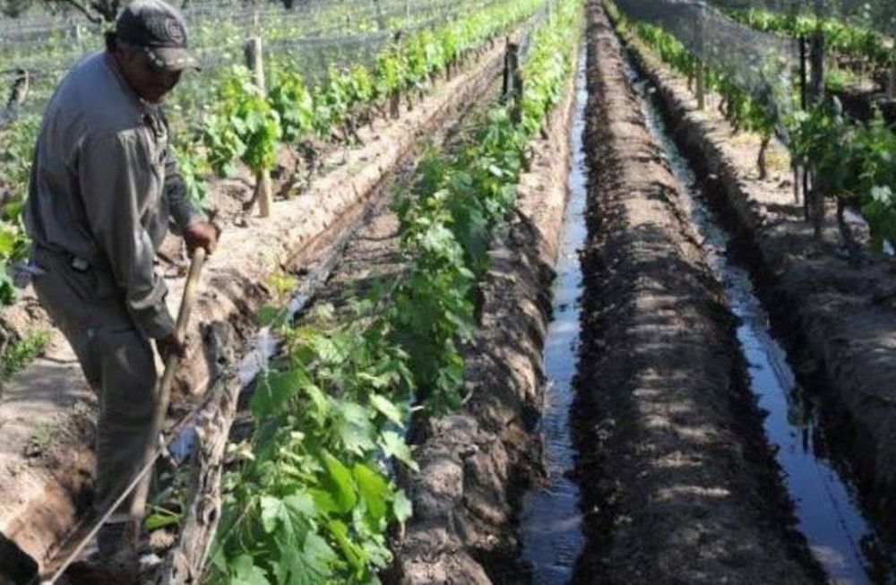 Los productores que ingresen al seguro agrícola a través de asociaciones tendrán un descuento del 10% o el 20% si ya se habían inscripto en temporadas anteriores