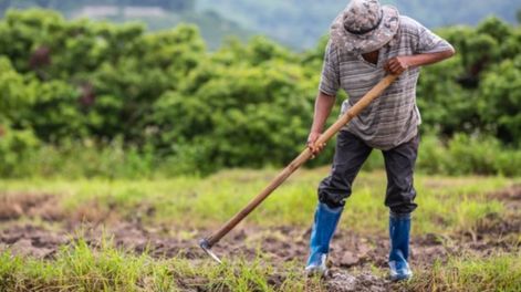 Aumenta el fondo de desempleo para todos los inscriptos en el RENATRE.