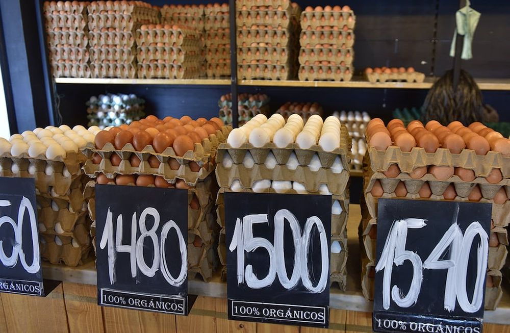 Teoría y realidad  de la actividad económica