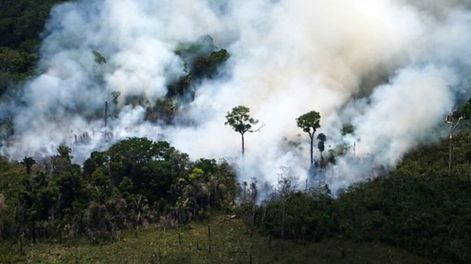 Hacia una “ecología integral” - Por Vicente S. Reale