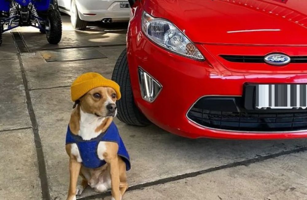 @automotoreslipari
