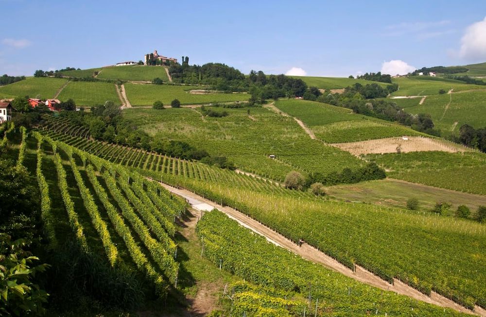 Los vinos de las tres regiones vinícolas más importantes de Italia