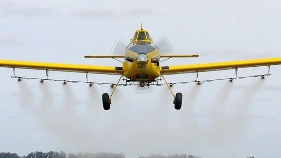Descubrieron un compuesto natural con el mismo efecto herbicida que el glifosato