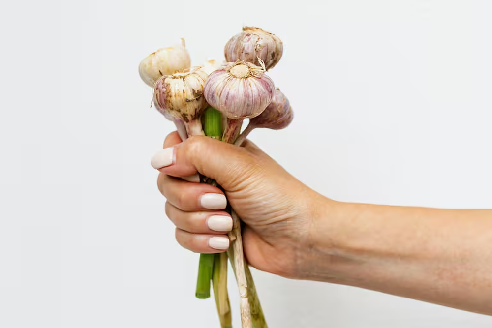 Conserv&aacute; el ajo en tu hogar con trucos f&aacute;ciles y &uacute;tiles para la cocina.