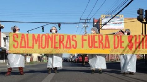 La fuga de 700.000 salmones en Chile podría producir un desastre ambiental