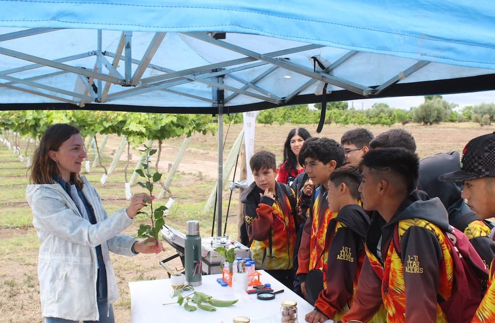 El 24 y 25 de octubre, en el INTA Junín, se desarrollará la exposición “Soluciones para un Futuro Sostenible”, donde se compartirán las innovaciones en ciencia y tecnologías para el agro. Imagen: Gentileza INTA.