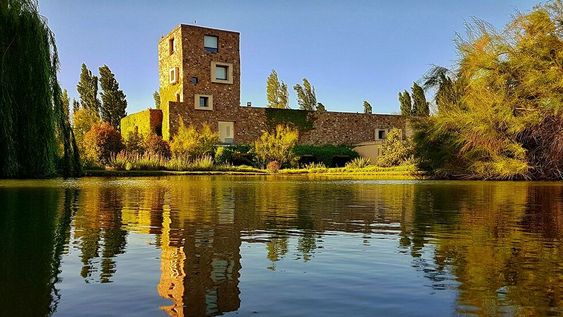 Con certificación orgánica, Bodega Renacer lanzará nuevas versiones de sus vinos en agosto