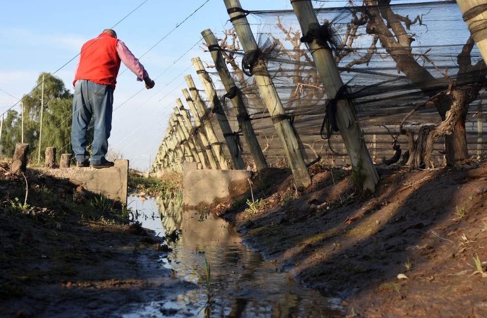 Ofrecen una capacitación gratuita sobre estabilización de la factura eléctrica para regantes