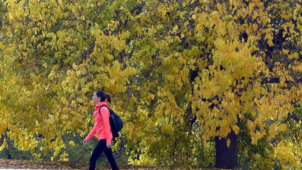 Buen tiempo en Mendoza pero con heladas matinales: el pronóstico para este martes