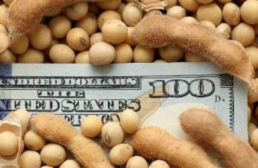 Nuevo plazo fijo: sigue al dólar para no perder y es solo para el campo