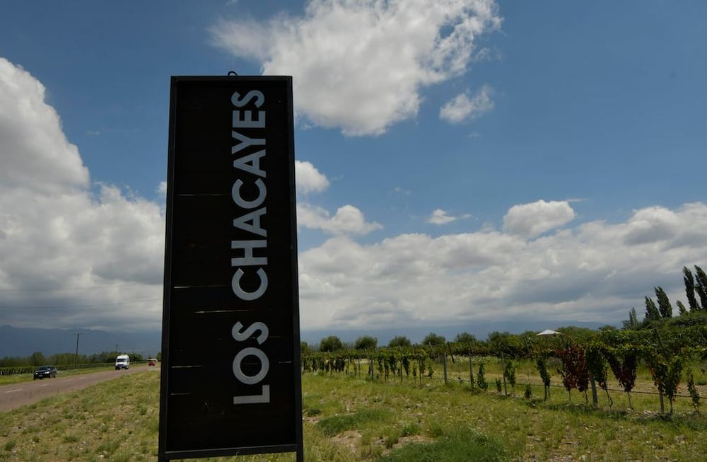 En 2010, Lázaro Báez compró casi 3.500 hectáreas en Tunuyán a través de Leonardo Fariña. Pagó 5 millones de dólares y la vendió por 1,8 millón / Orlando Pelichotti