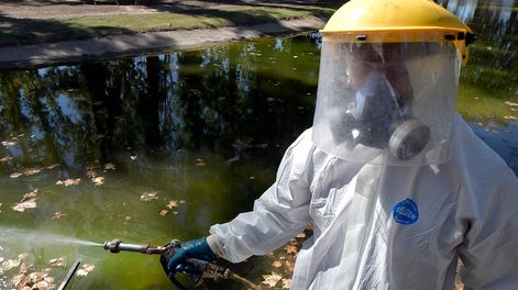 Los Andes | Personal de Zoonosis de Guaymallén desinfectando para evitar la propagación del mosquito Dengue  en el lago de Bandera de los Andes y UrquizaEl dengue, es una enfermedad viral transmitida por la picadura del mosquito del género Aedes, principalmente por