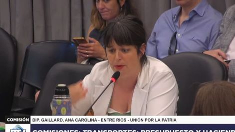 Carolina Gaillard, diputada de UxP: Son unos vende patria
