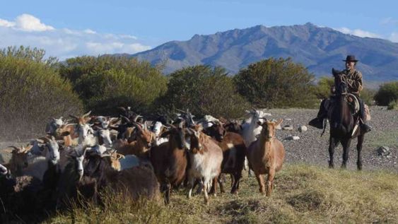 Puesto Perino, comunidad Lof Malal Pincheira, una de las tantas comunidades autopercibidas Mapuche en el extenso territorio de Malargüe.  Foto: Claudio Gutiérrez  Los Andes